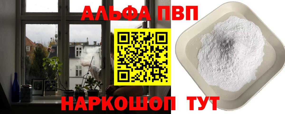Альфа ПВП СК КРИС Кизилюрт