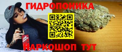 гидра Краснокаменск