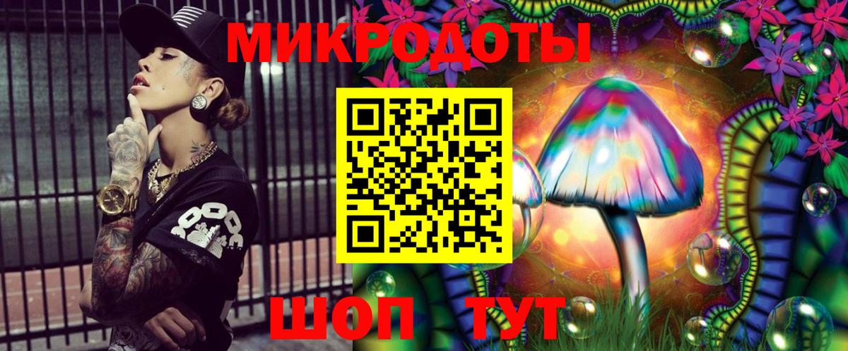 Кизилюрт  Псилоцибиновые грибы Psilocybe  Вход с VPN  Псилоцибиновые грибы Cubensis 