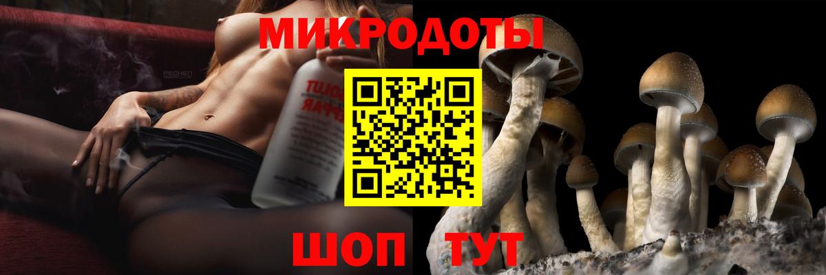 Псилоцибиновые грибы MAGIC MUSHROOMS Кизилюрт
